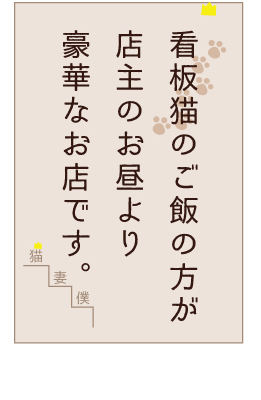 自虐看板の魅力は哀愁と思い切りにあり！