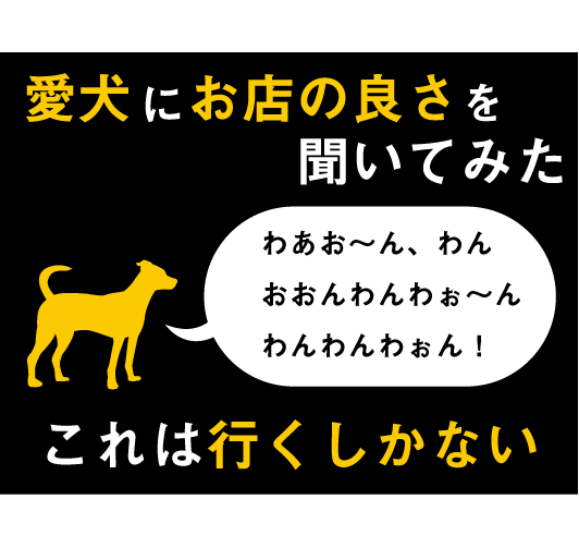 わ、分からない…《難解型謎》